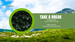 Offer Eco-Friendly Solution Package for Business with Green Forest