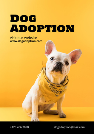 Pets Adoption Club Ad Poster 28x40in Design Template