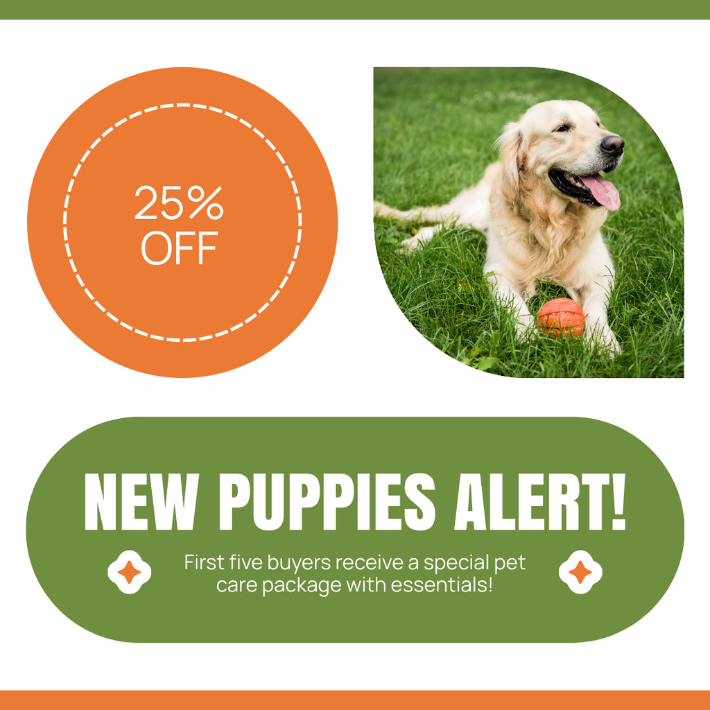 Designvorlage Discount on Bred Puppies für Instagram