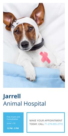 Állati kórház hirdetése aranyos sérült kutyával Graphic tervezősablon