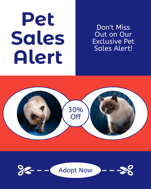 Purebred Cats Sale Alert Instagram Post Vertical – шаблон для дизайна