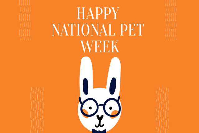 National Pet Week Ad with Cute Rabbit Postcard 4x6inデザインテンプレート