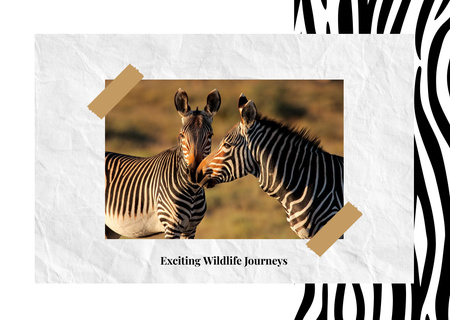 Wild zebras in nature Postcard Design Template
