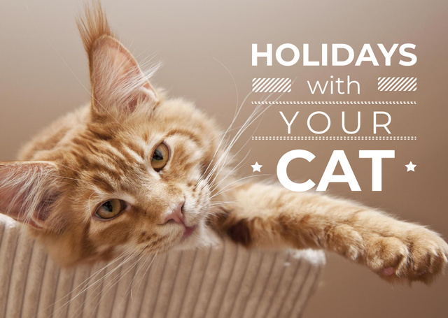 Cute Red Cat at Home Card Tasarım Şablonu