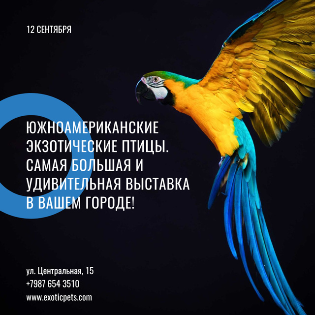Ontwerpsjabloon van Instagram AD van Exotic Birds fair Blue Macaw Parrot