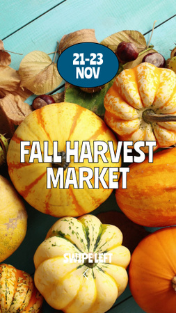 Various Pumpkins On Fall Harvest Market On Thanksgiving Day TikTok Video Design Template