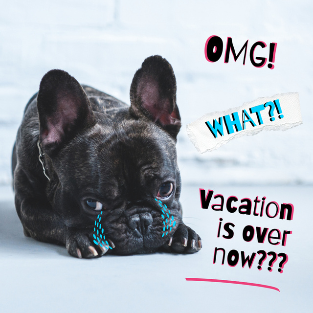 Cute Dog is Sad about end of Vacation Instagramデザインテンプレート