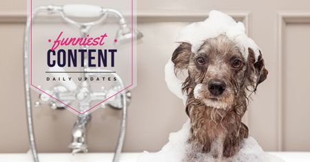 Animals Blog Ad with Cute wet Puppy Facebook AD Design Template