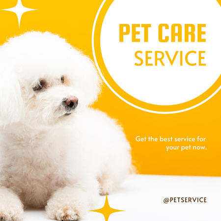 Ontwerpsjabloon van Instagram van Offering Pet Care Services