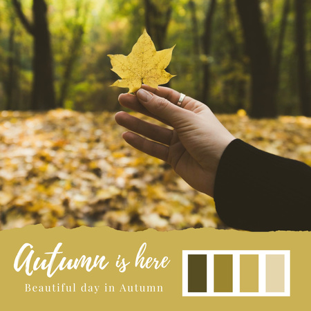 szép napot, az őszi parkban Instagram tervezősablon