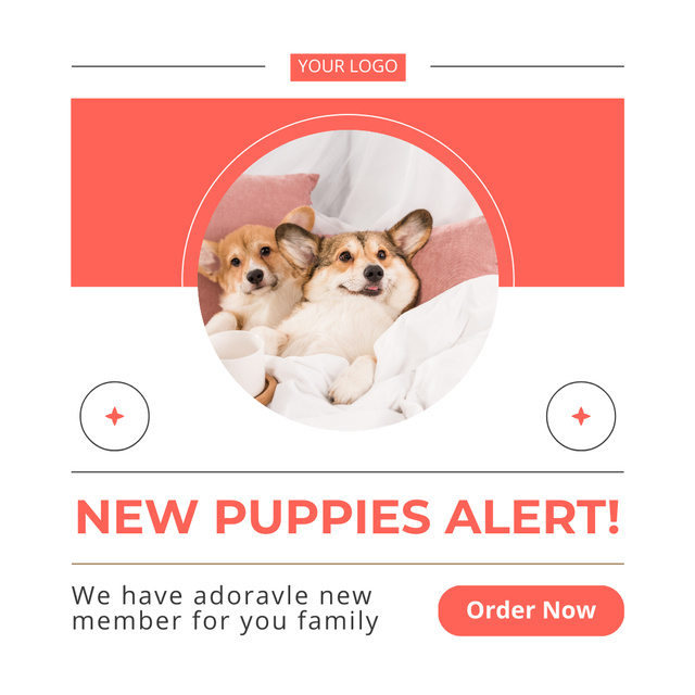 Designvorlage Cute Purebred Puppies Alert für Instagram
