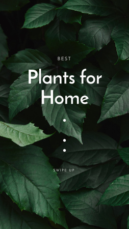 Designvorlage Blätter einer exotischen Pflanze für Zuhause für Instagram Story