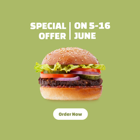 Special Burger With Lettuce Offer In Summer Instagram Design Template