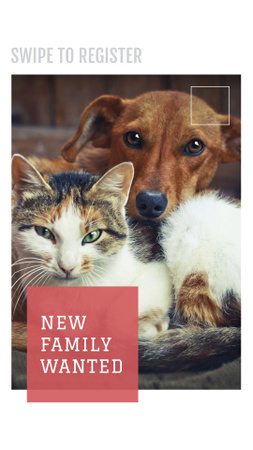 Pet Adoption Ad with Cute Dog and Cat Instagram Story Modelo de Design