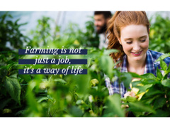 Farmers working in greenhouse