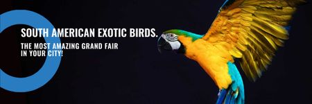 South American exotic birds shop Email header tervezősablon