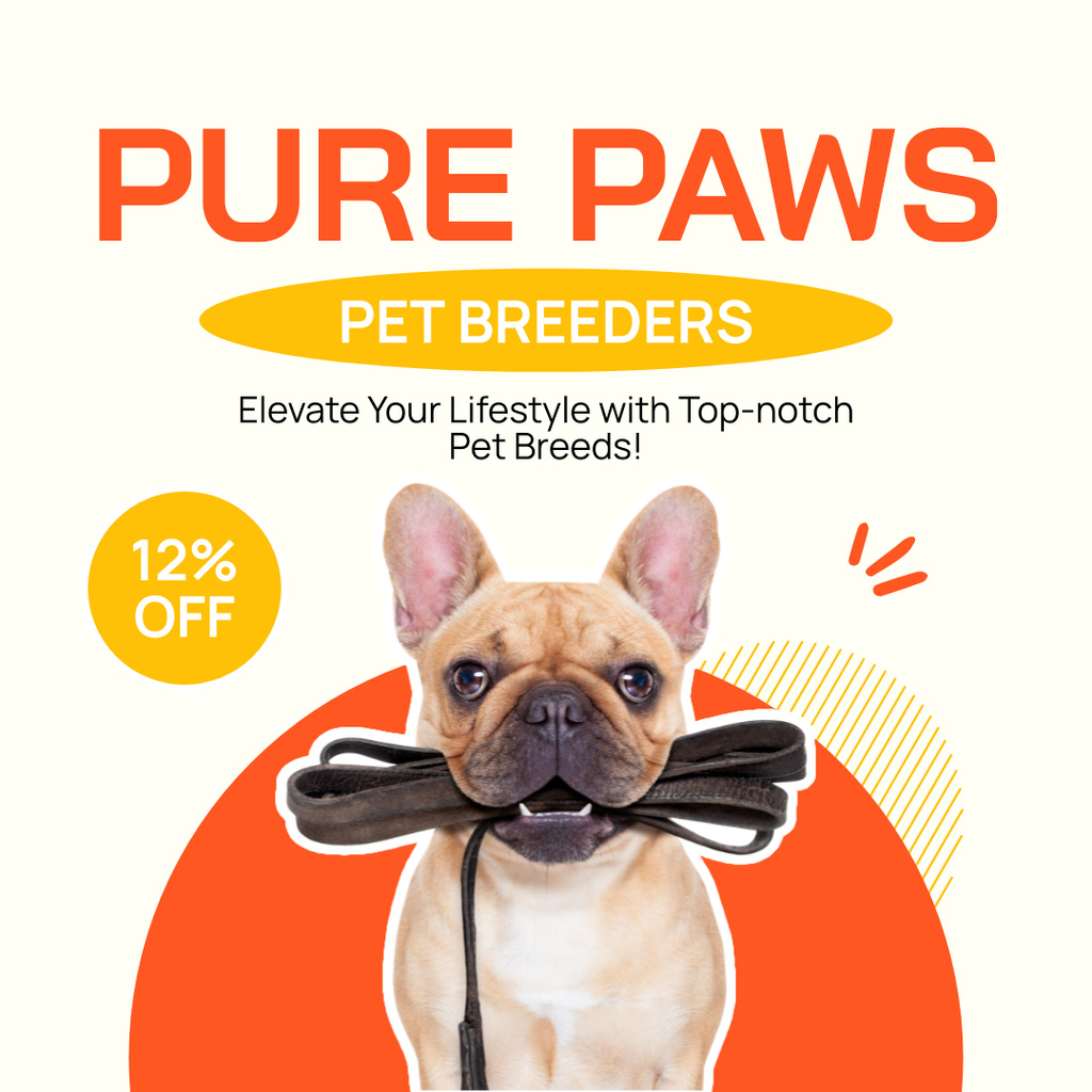 Best Offers by Pet Breeders Instagram – шаблон для дизайну