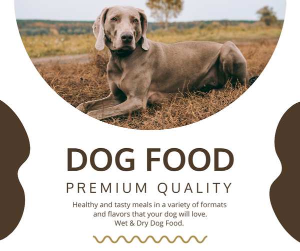 Premium Quality Dog Food Offer