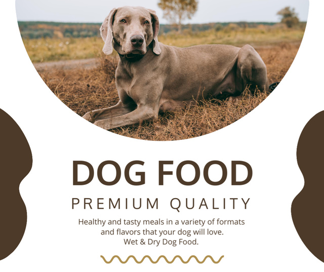 Premium Quality Dog Food Offer Facebook – шаблон для дизайна