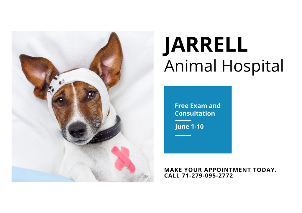 Wounded Dog in Animal Hospital Poster A2 Horizontal Design Template