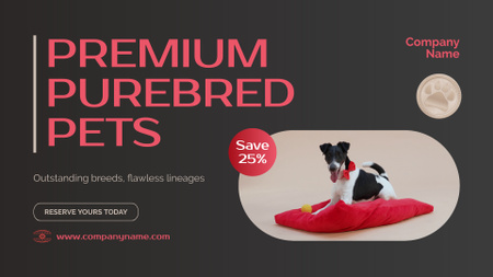 Premium Pets At Reduced Price Offer Full HD video Design Template