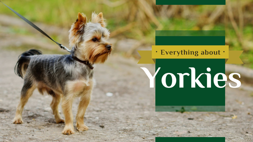 Ontwerpsjabloon van Youtube Thumbnail van Yorkshire Terrier Dog on a Walk