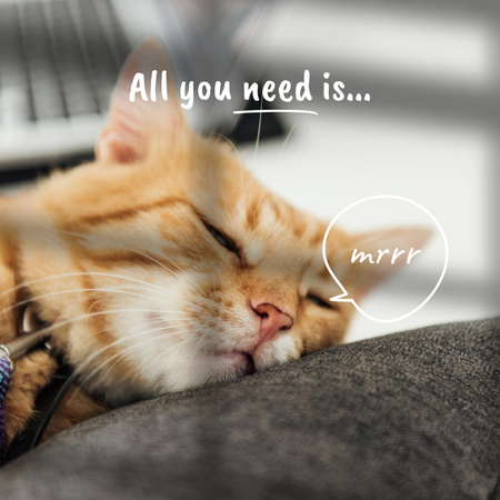Designvorlage Cute Sleeping Cat für Instagram