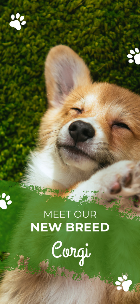 Template di design Meet Our New Puppies of Corgi Snapchat Moment Filter