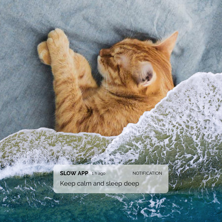 Cute Cat sleeping under Ocean Waves Blanket Instagram Tasarım Şablonu