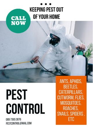 Pest Control Flayer Modelo de Design