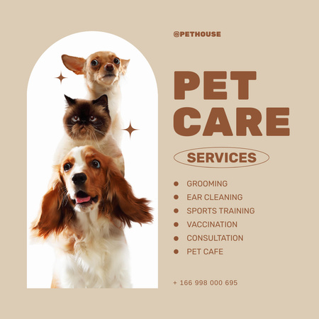 Pet Care Offer with Cute Dogs and Cat Instagram AD Design Template