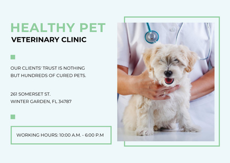 Modèle de visuel Annonce de clinique vétérinaire avec un vétérinaire tenant un chien - Flyer A6 Horizontal