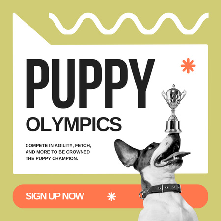 Оголошення конкурсу собак Instagram – шаблон для дизайну