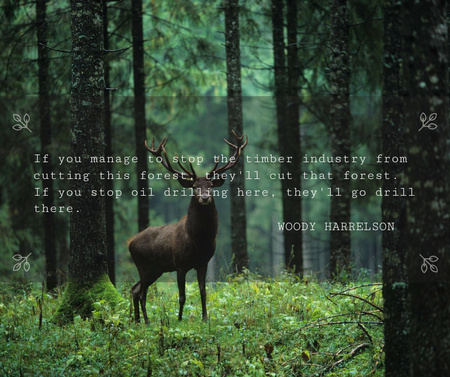 Template di design Nature Quote Wild Deer with Antlers Facebook