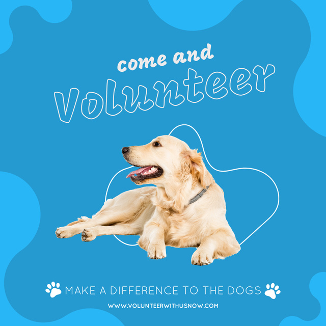 Volunteering for Animals Announcement Instagram Πρότυπο σχεδίασης