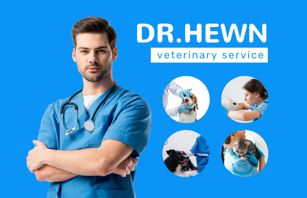 Modèle de visuel Doctor of Veterinary Services - Business Card 85x55mm