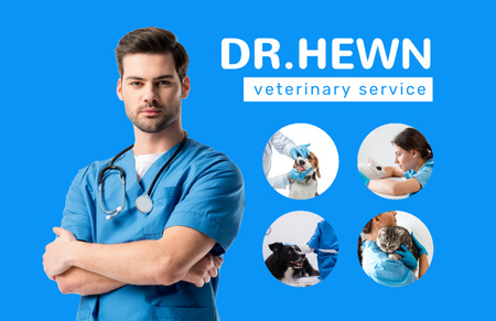 Platilla de diseño Doctor of Veterinary Services Business Card 85x55mm