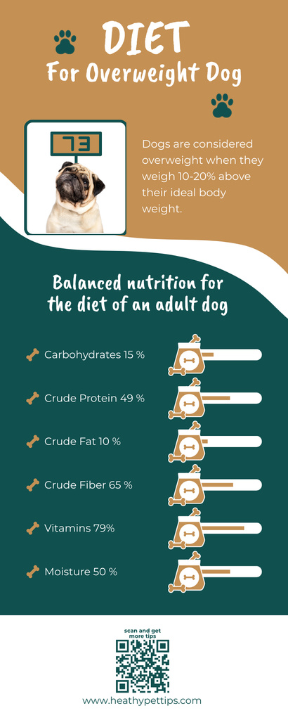 Plantilla de diseño de Overweight Dog Diet Tips Infographic 