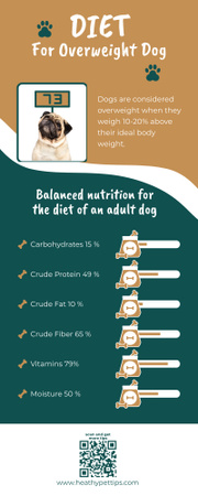 Ylipainoisen koiran ruokavaliovinkkejä Infographic Design Template