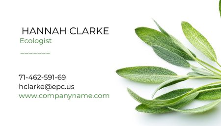 Ontwerpsjabloon van Business Card US van Ecoloog Services met Healthy Green Herb