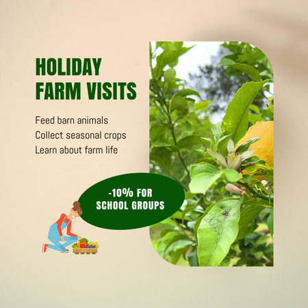 Awesome Holiday Farm Visits Offer With Discount Animated Post Design Template