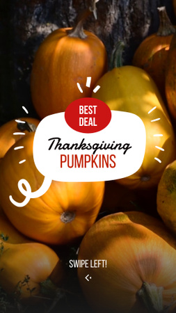 Autumnal Pumpkins Sale On Thanksgiving Day TikTok Video Design Template