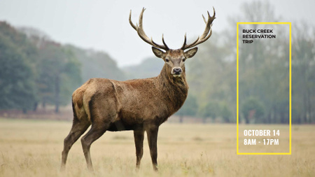 Event Announcement with Deer in Natural Habitat FB event cover Design Template