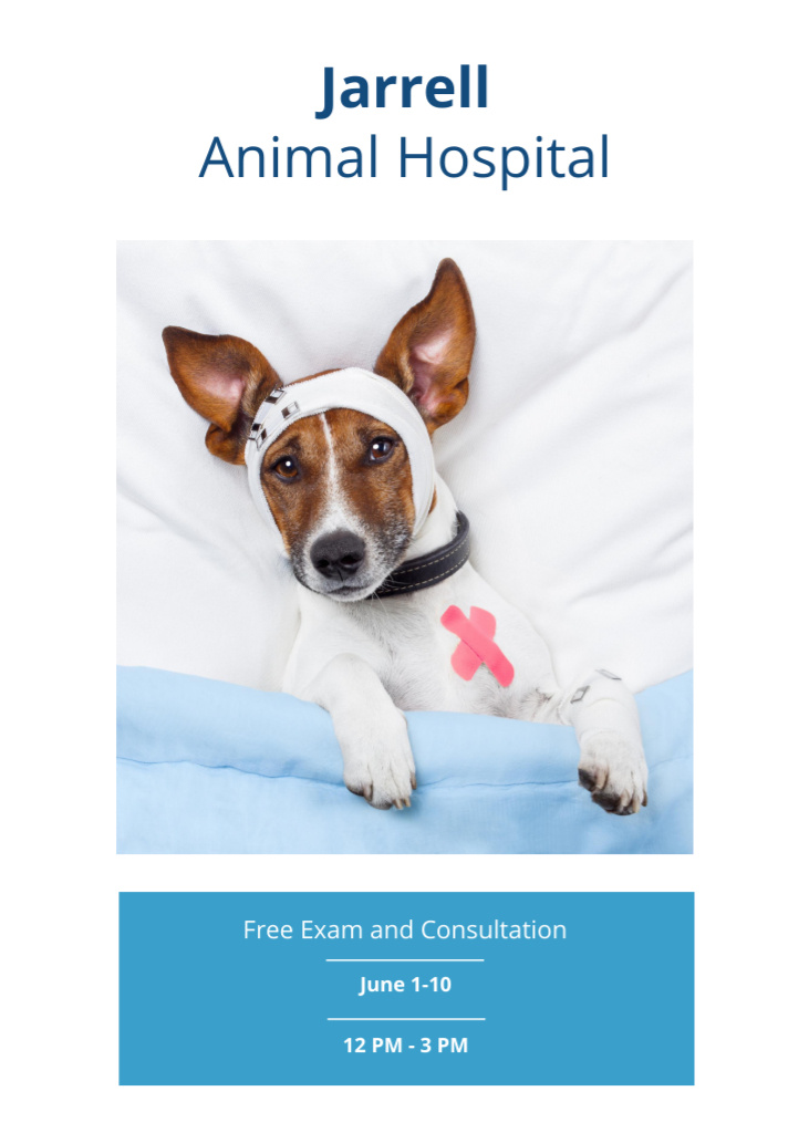 Injured Pet in Veterinary Clinic Postcard 5x7in Vertical Modelo de Design