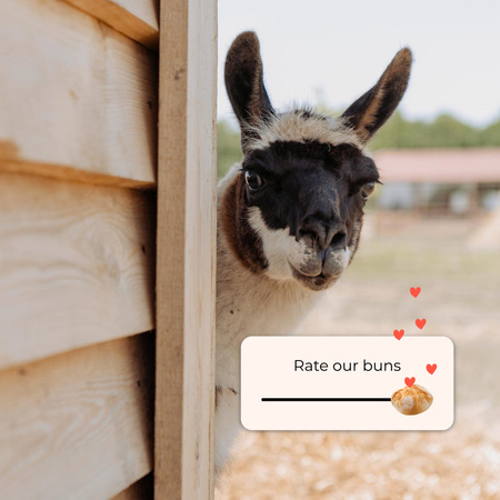Bakery Promotion with Funny Alpaca Instagram Πρότυπο σχεδίασης