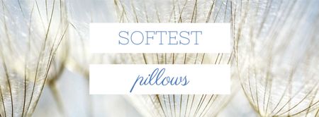 Softest Pillows Ad Tender Dandelion Seeds Facebook cover Design Template