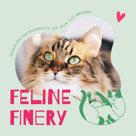 Cat Breeder Showing Variety Of Feline Breeds Animated Post Design Template