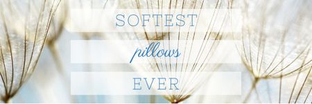 Modèle de visuel Softest Pillows Ad with Tender Dandelion Seeds - Email header