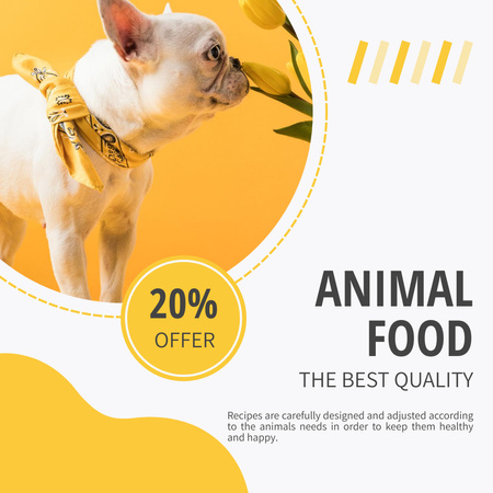 Animal Food Offer with Cute Dog Instagram Design Template