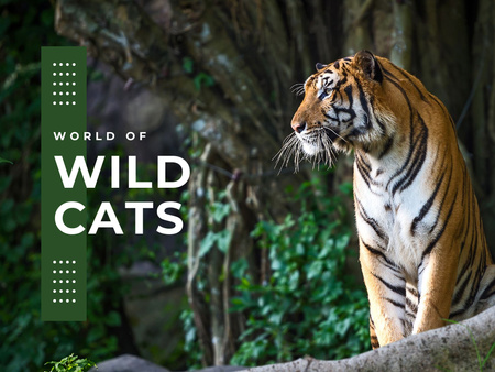 Designvorlage Wild cats Facts with Tiger für Presentation